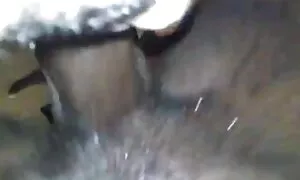 έβενος βασίλισσα fuc ...