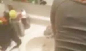 Η ινδική Desi φαίνετ ...